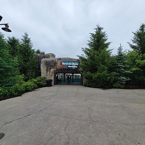 Columbus Zoo - Polar Frontier, Brown bear viewing
