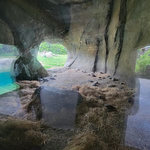 Columbus Zoo - Polar Frontier, Brown bear den area