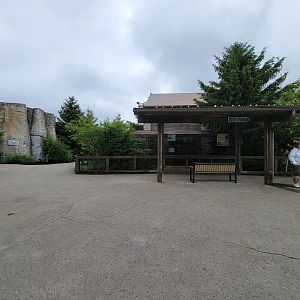 Columbus Zoo - Polar Frontier, Arctic foxes