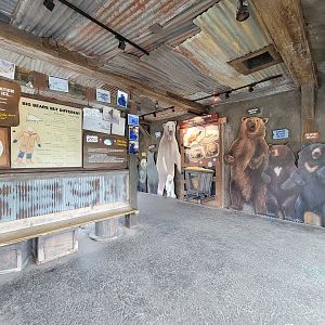 Columbus Zoo - Polar Frontier, Bear information