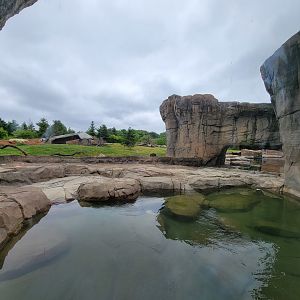 Columbus Zoo - Polar Frontier, Polar bears