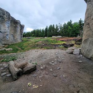 Columbus Zoo - Polar Frontier, Polar bears