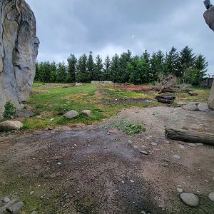 Columbus Zoo - Polar Frontier, Polar bears