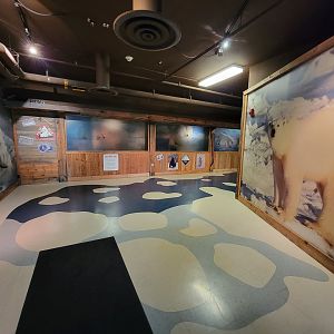 Columbus Zoo - Polar Frontier, Inside building