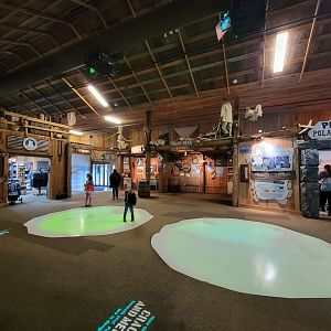 Columbus Zoo - Polar Frontier, Inside building