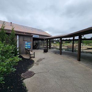 Columbus Zoo - Polar Frontier, Polar bears