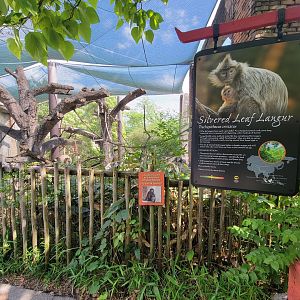Columbus Zoo - Asia Quest, Silvered leaf monkey outdoors, signage