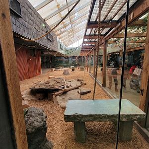 Columbus Zoo - Asia Quest, Bats and chevrotain exhibit