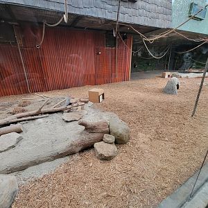 Columbus Zoo - Asia Quest, Bats and chevrotain exhibit