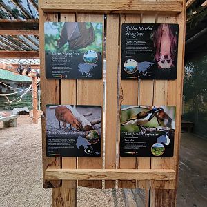 Columbus Zoo - Asia Quest, Bats and chevrotain signage