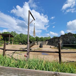 Columbus Zoo - Asia Quest, Asian elephants
