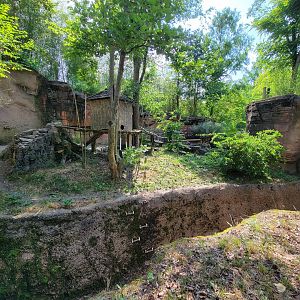 Columbus Zoo - Asia Quest, Red pandas