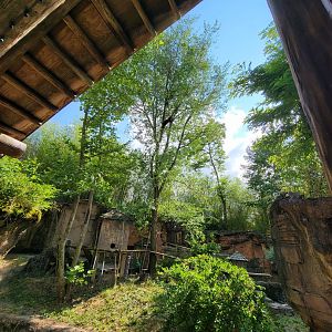 Columbus Zoo - Asia Quest, Red pandas