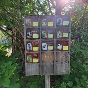 Columbus Zoo - Asia Quest Aviary, Species