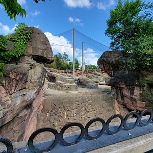 Columbus Zoo - Asia Quest, Markhor