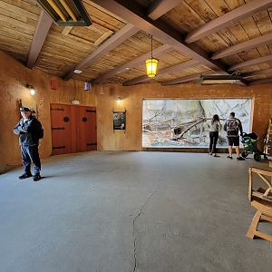 Columbus Zoo - Asia Quest, Markhor on left, Pallas's cat ahead
