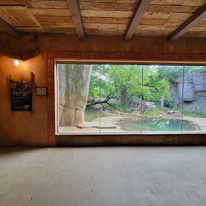 Columbus Zoo - Asia Quest, Amur tiger indoor viewing window