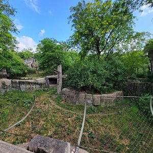 Columbus Zoo - Asia Quest, Amur tiger outdoor viewing