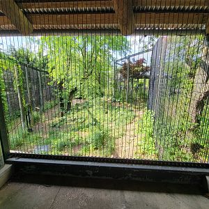 Columbus Zoo - Asia Quest, Red-crowned cranes