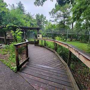 Columbus Zoo - North America, Mexican gray wolves