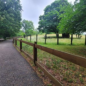 Columbus Zoo - North America path, former bison/pronghorn exhibit on right