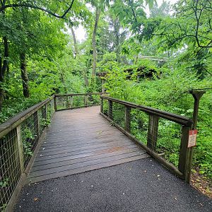 Columbus Zoo - North America path to birds