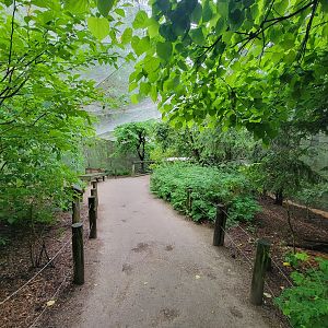 Columbus Zoo - North America Songbird Aviary