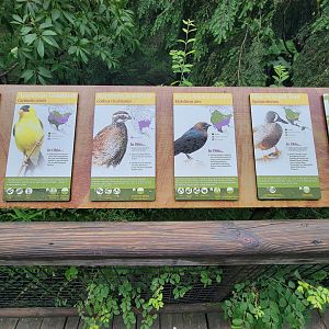 Columbus Zoo - North America Songbird Aviary signs, American goldfinch - Northern bobwhite - Brown-headed cowbird - Blue-winged teal