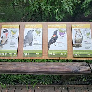 Columbus Zoo - North America Songbird Aviary signs, rose-breasted grosbeak - gray catbird - red-winged blackbird - wood thrush