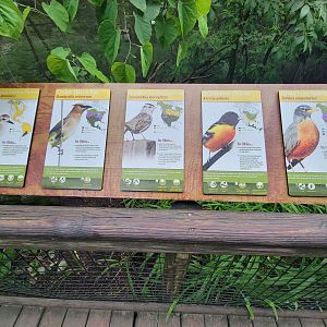 Columbus Zoo - North America Songbird Aviary signs, American golden plover - cedar waxwing - white-crowned sparrow - Baltimore oriole - American robin