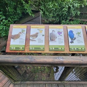 Columbus Zoo - North America Songbird Aviary signs, sora - gray-cheeked thrush - mourning dove - indigo bunting - scarlet tanager