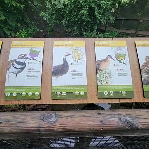Columbus Zoo - North America Songbird Aviary signs, Eastern bluebird - killdeer - snow goose - Virginia rail - song sparrow