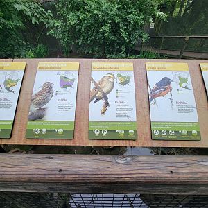 Columbus Zoo - North America Songbird Aviary signs, Virginia rail - song sparrow - white-throated sparrow - orchard oriole - ruddy duck