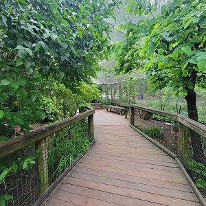 Columbus Zoo - North America Songbird Aviary