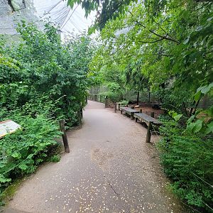 Columbus Zoo - North America Songbird Aviary