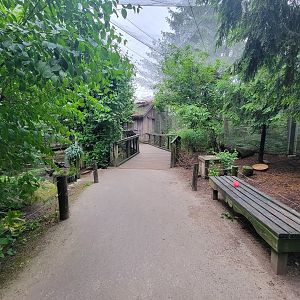 Columbus Zoo - North America Songbird Aviary