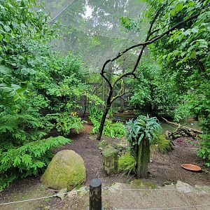 Columbus Zoo - North America Songbird Aviary