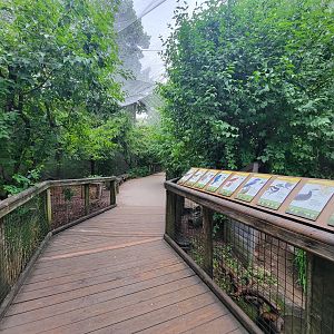 Columbus Zoo - North America Songbird Aviary, looking back