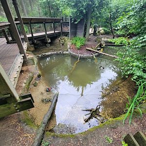 Columbus Zoo - North America Songbird Aviary