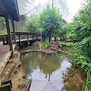 Columbus Zoo - North America Songbird Aviary