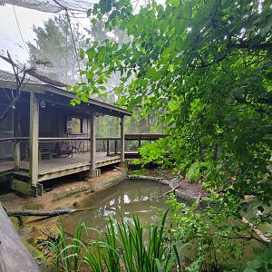Columbus Zoo - North America Songbird Aviary