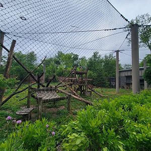 Columbus Zoo - North America, Mountain lions