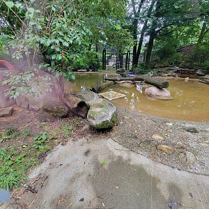 Columbus Zoo - North America, River otters