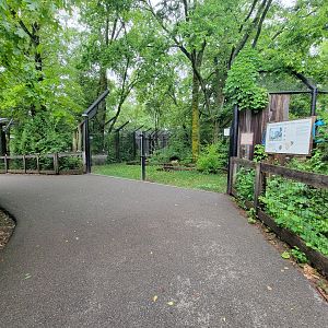 Columbus Zoo - North America, River otters