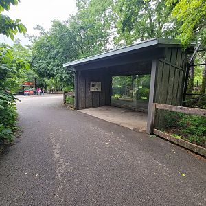 Columbus Zoo - North America, Black bears