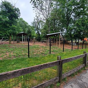 Columbus Zoo - North America, Reindeer