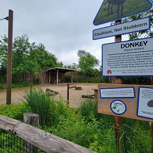 Columbus Zoo - Heart of Africa, donkeys