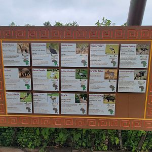 Columbus Zoo - Heart of Africa, Savannah species