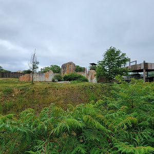 Columbus Zoo - Heart of Africa, lions (foreground) and ungulates (background)