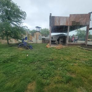 Columbus Zoo - Heart of Africa, Lions